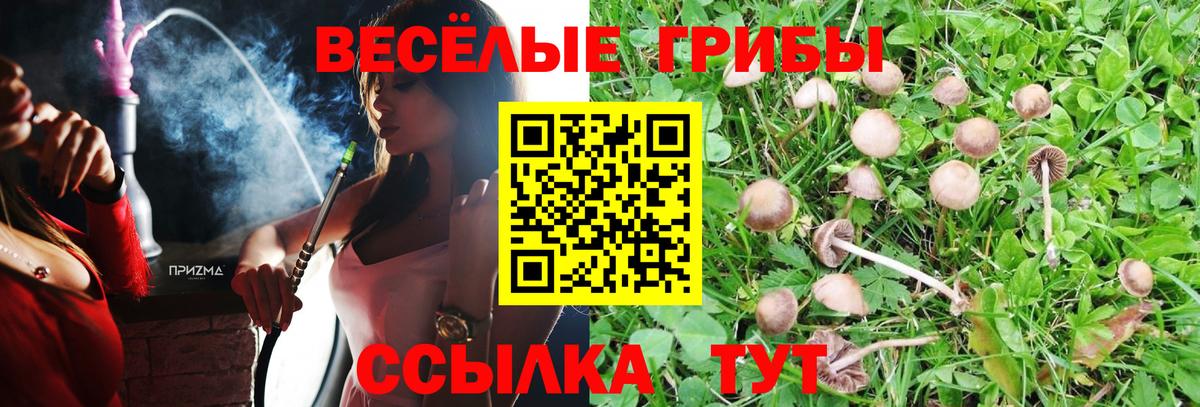 Артёмовский  Галлюциногенные грибы MAGIC MUSHROOMS  Вход с VPN 